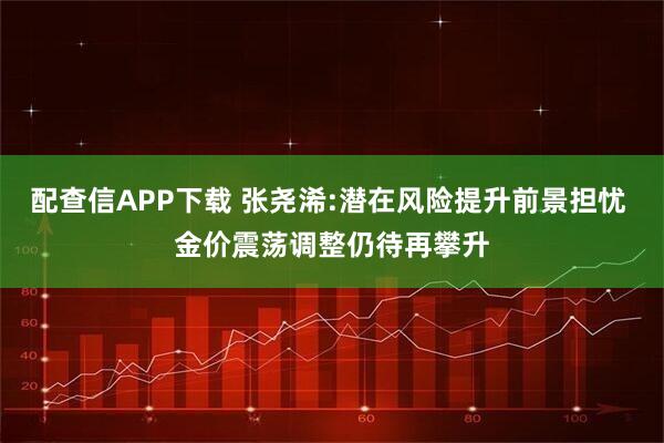配查信APP下载 张尧浠:潜在风险提升前景担忧 金价震荡调整仍待再攀升