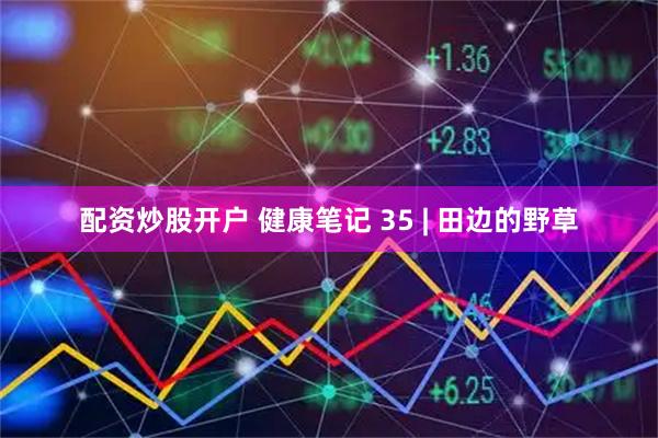 配资炒股开户 健康笔记 35 | 田边的野草